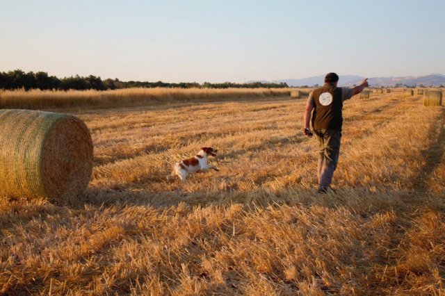 Αγωνες Α.Κ.Ι 18/6/2017